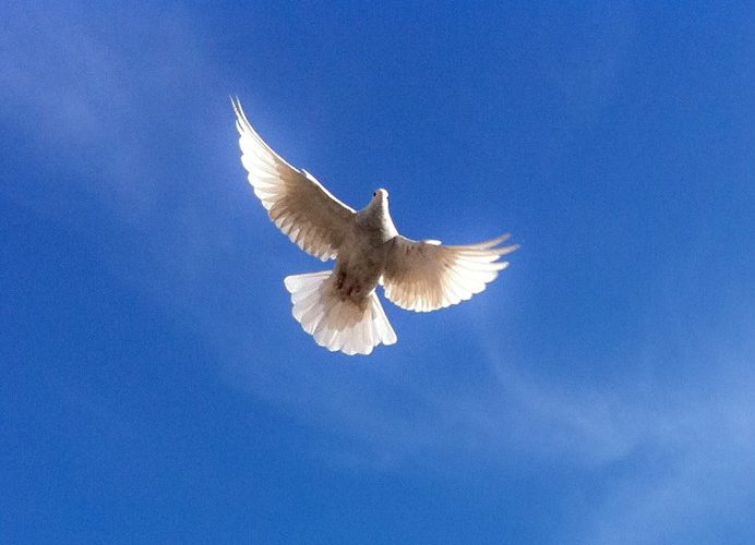 The Way of Salvation: Repentance